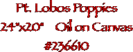 Pt. Lobos Poppies